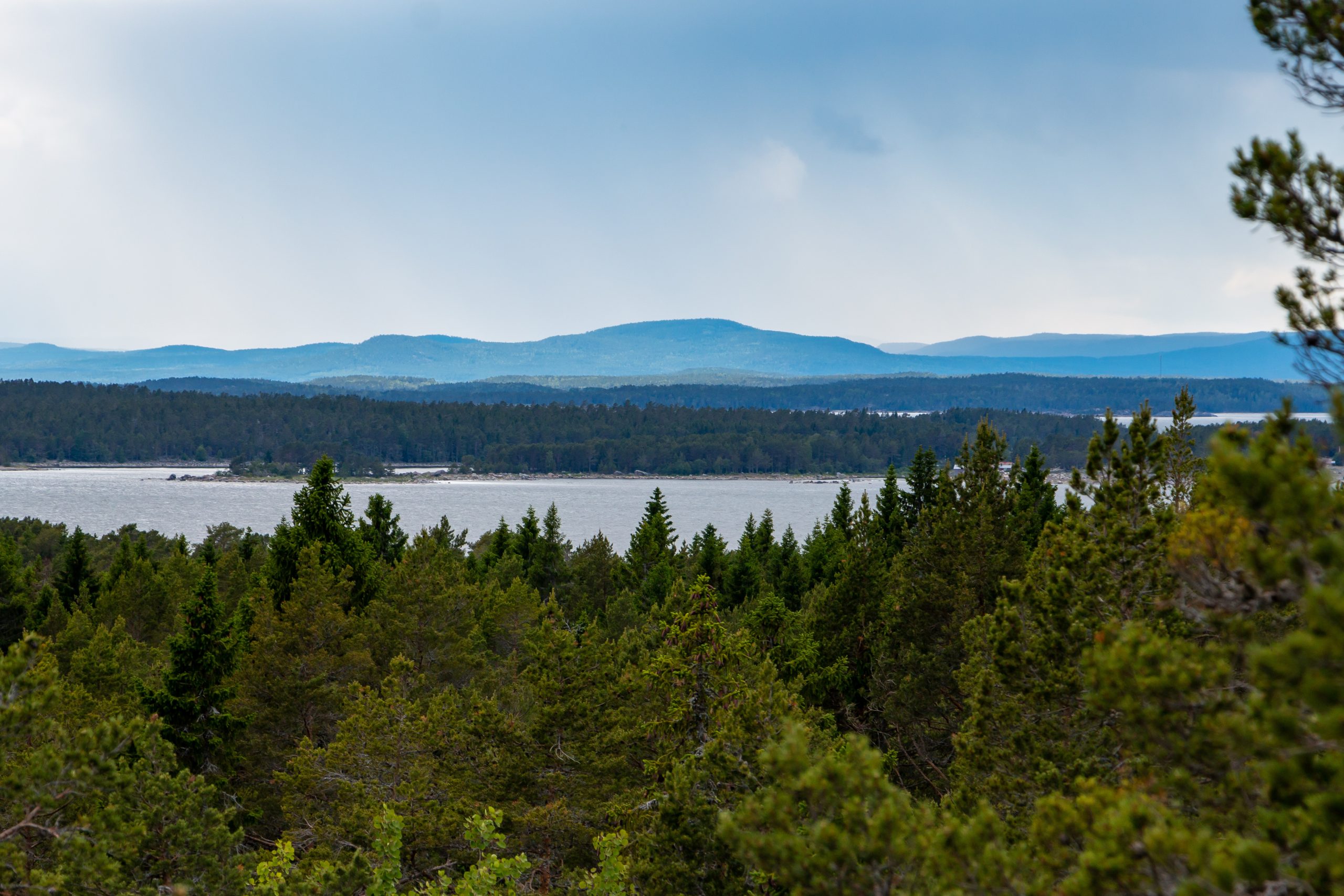 Vy över svenskt landskap med träskog, hav och bergstoppar