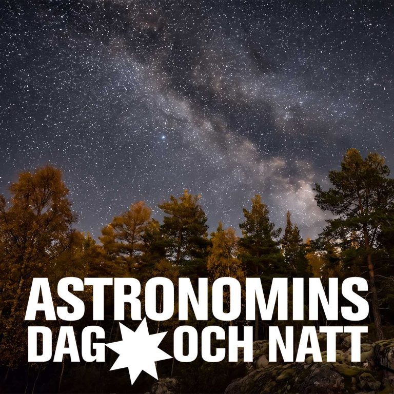 Träd med stjärnhimmel.
