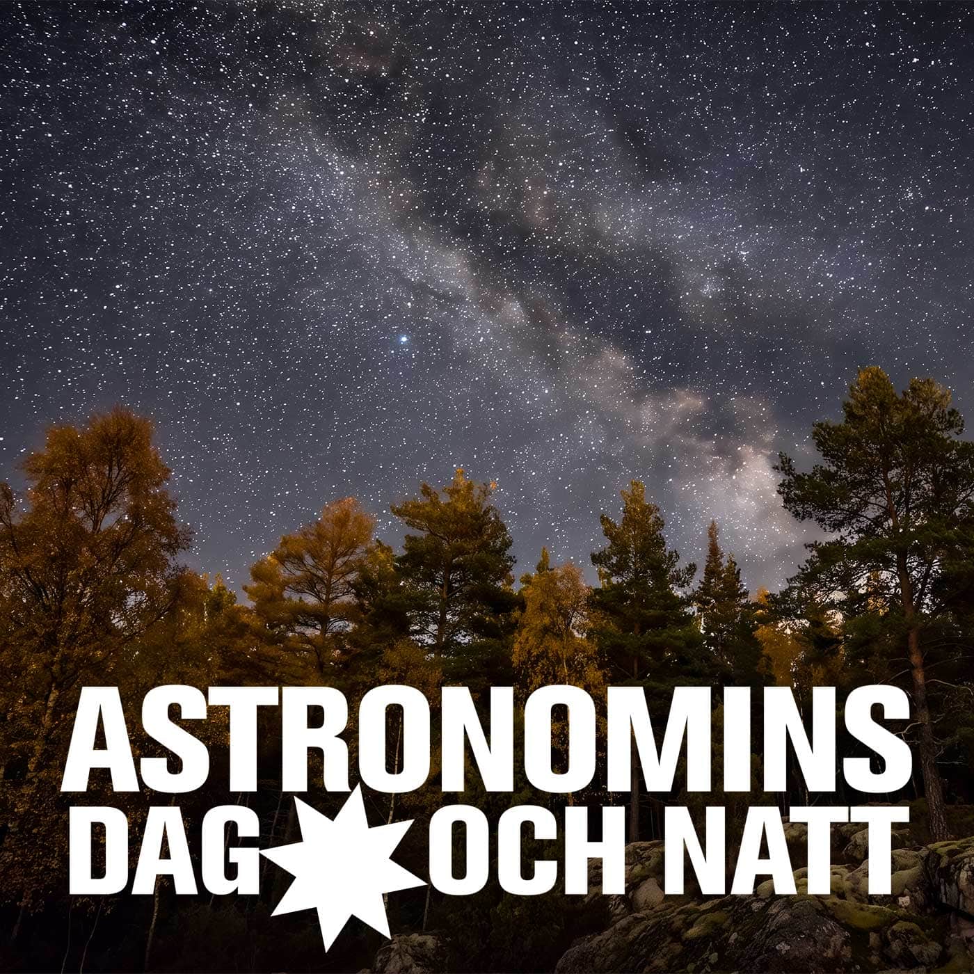 Träd med stjärnhimmel.
